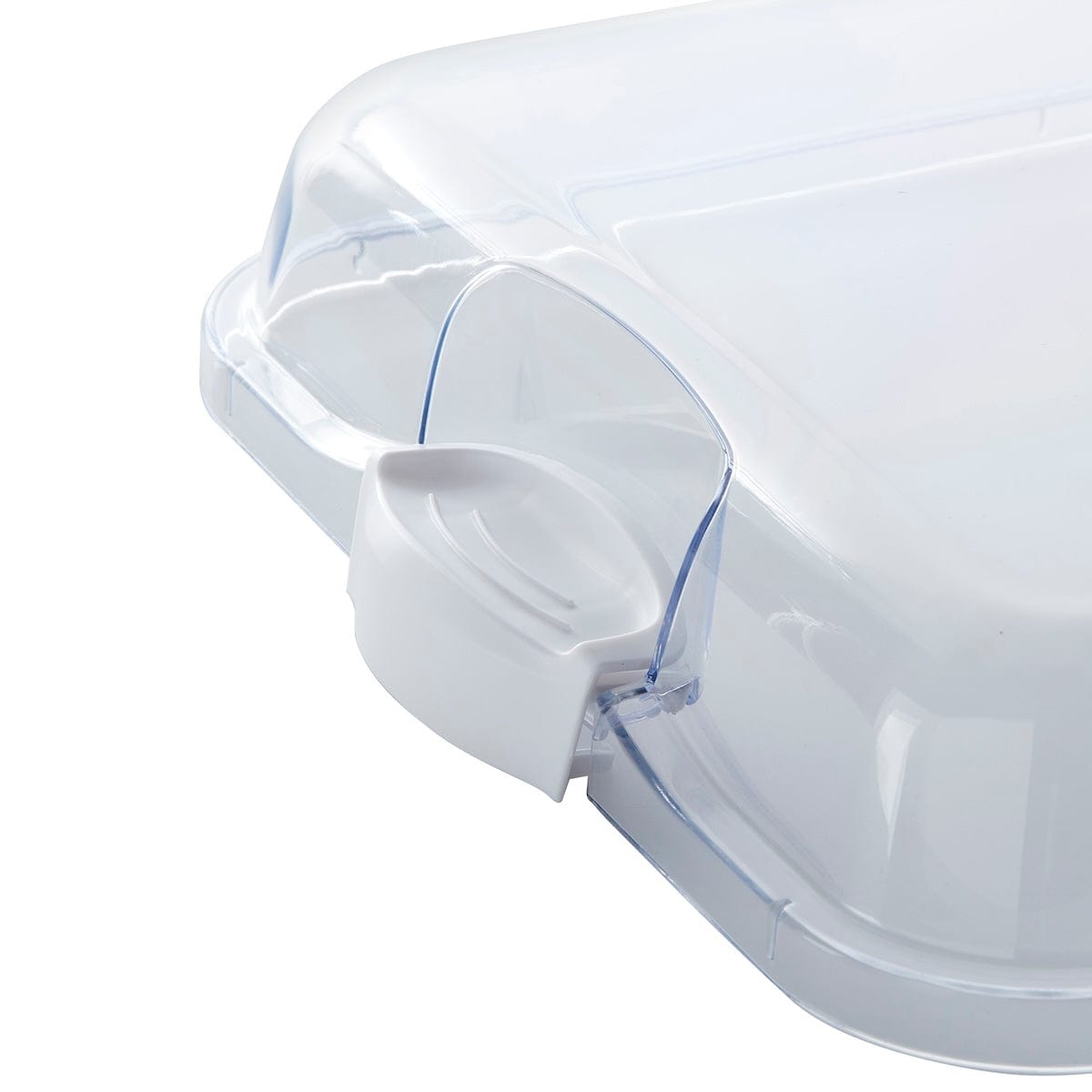 Portable food presentation board with lid during outdoor picnic setting