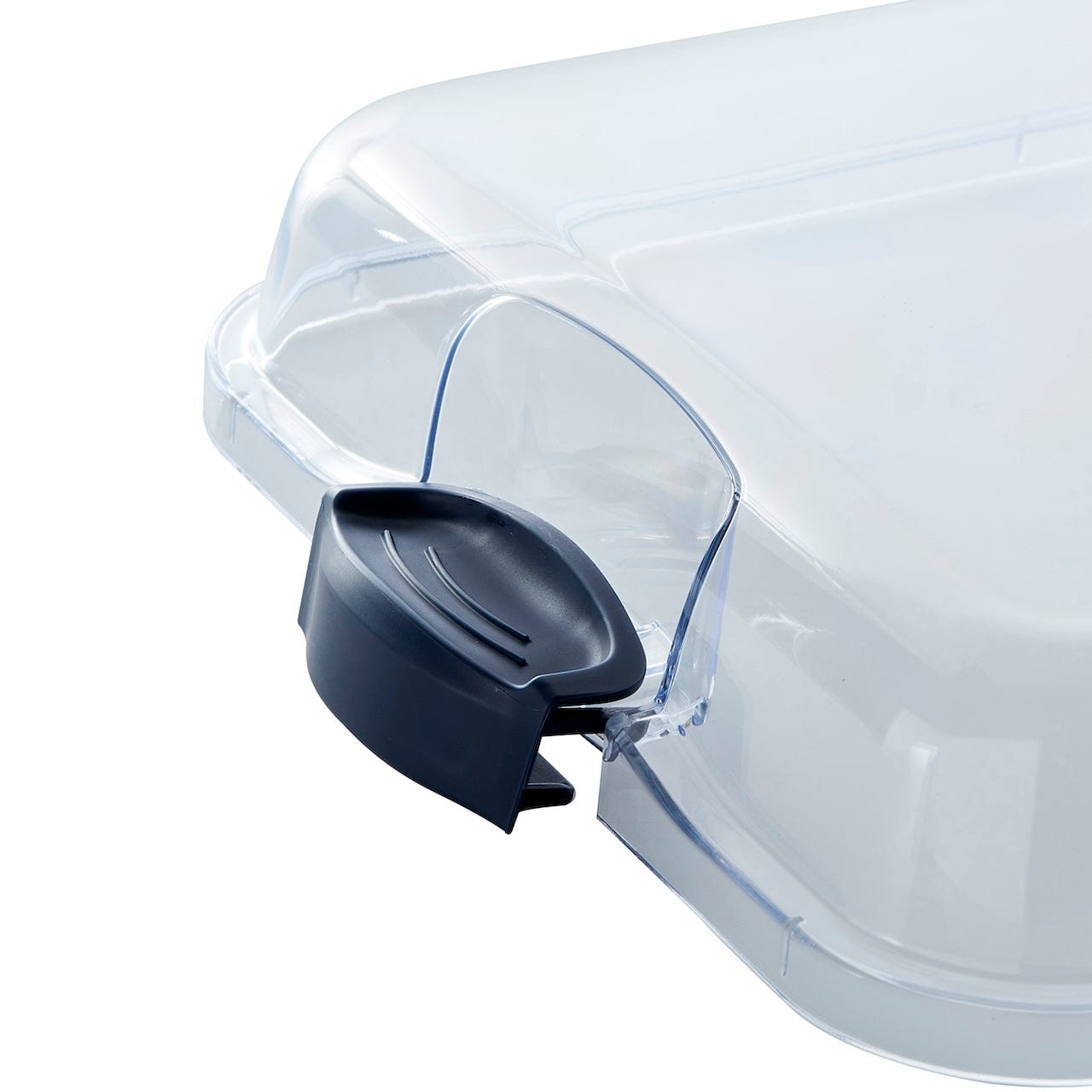Portable food presentation board with lid during outdoor picnic setting