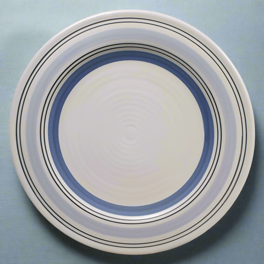 Close-up of a large stoneware dinner plate showing its textured surface